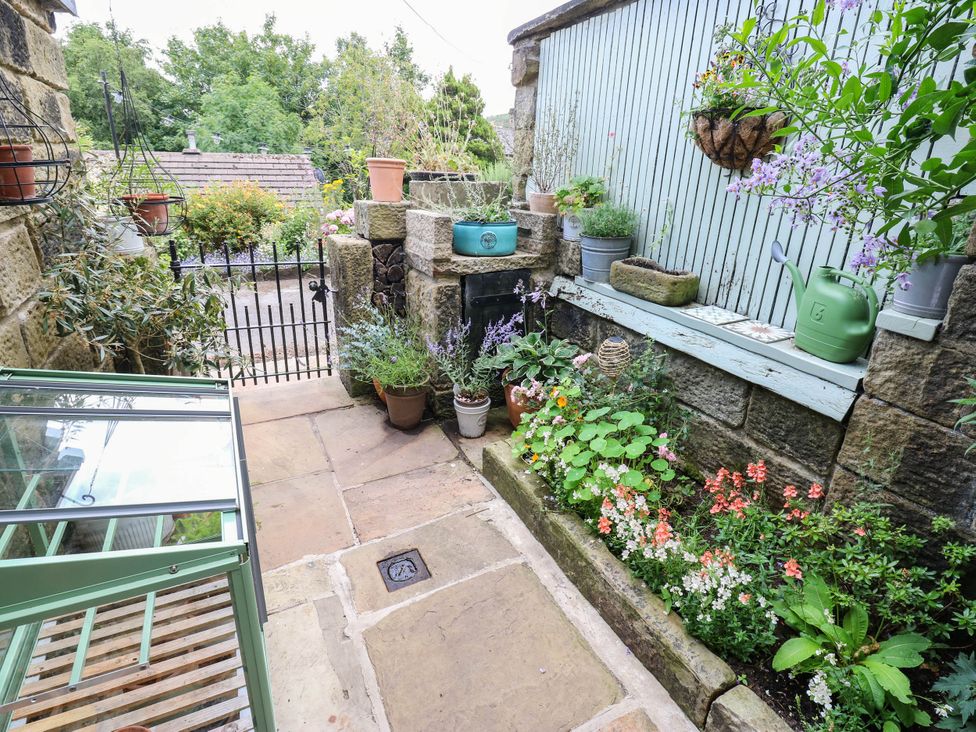 A garden with various plants and a pathway at 10 Park Road