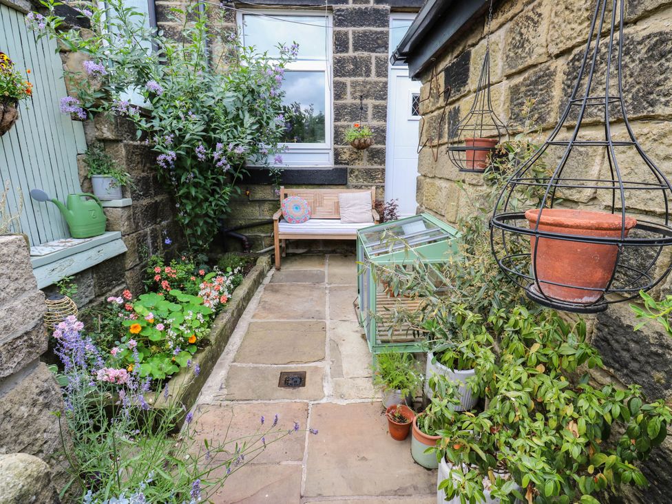 A garden with flowers, a bench and a greenhouse at 10 Park Road 