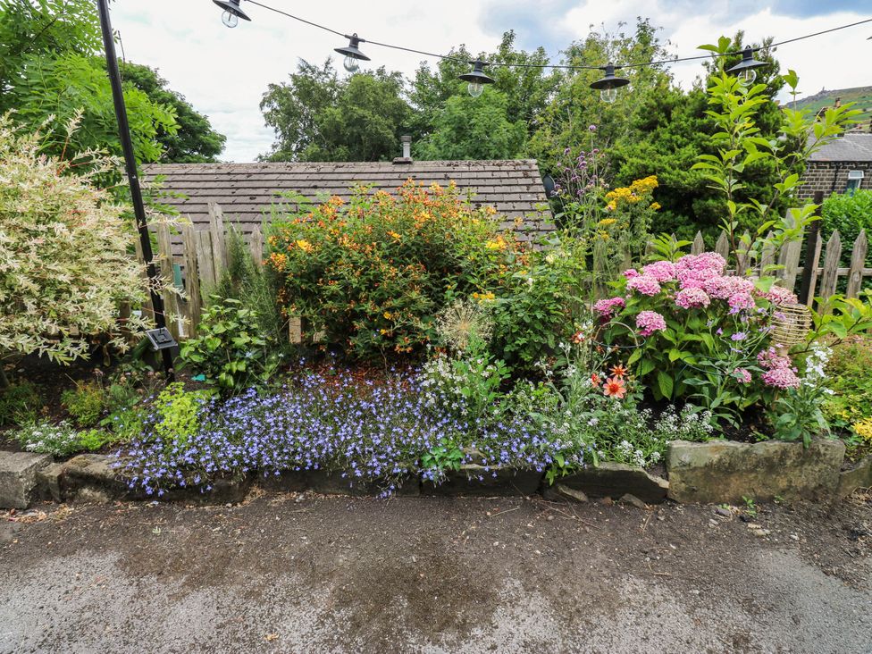 A garden with various flowers and plants at 10 Park Road