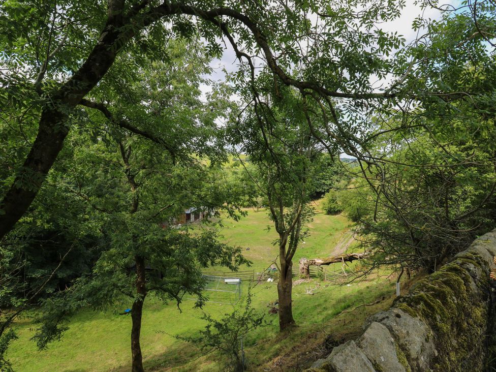 An outdoor view of a grassy area with trees and a stone wall at 10 Park Road