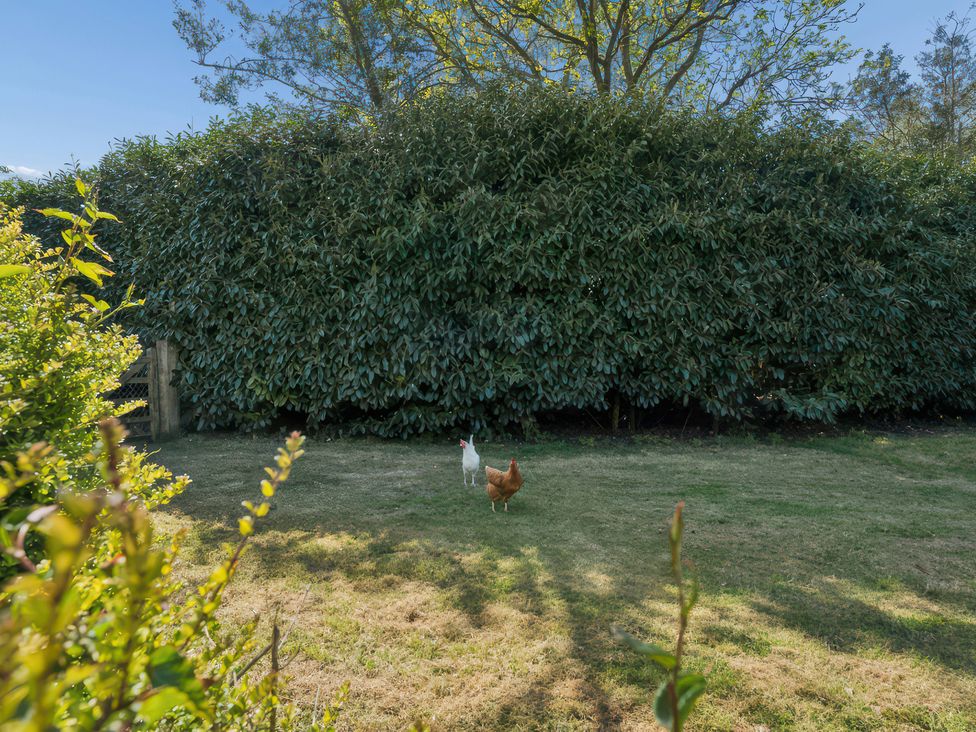 A garden with chickens in front of a hedge at 5 Acres Cottage in Rickmansworth