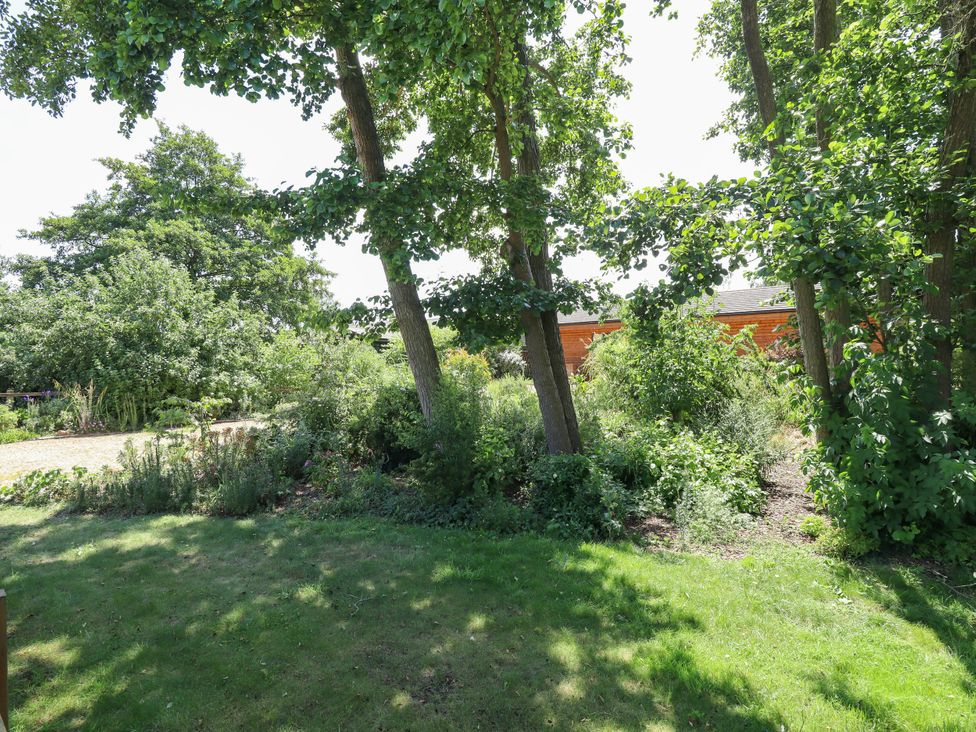 A garden with greenery and trees at 80 Pentney Lakes, Pentney near King's Lynn