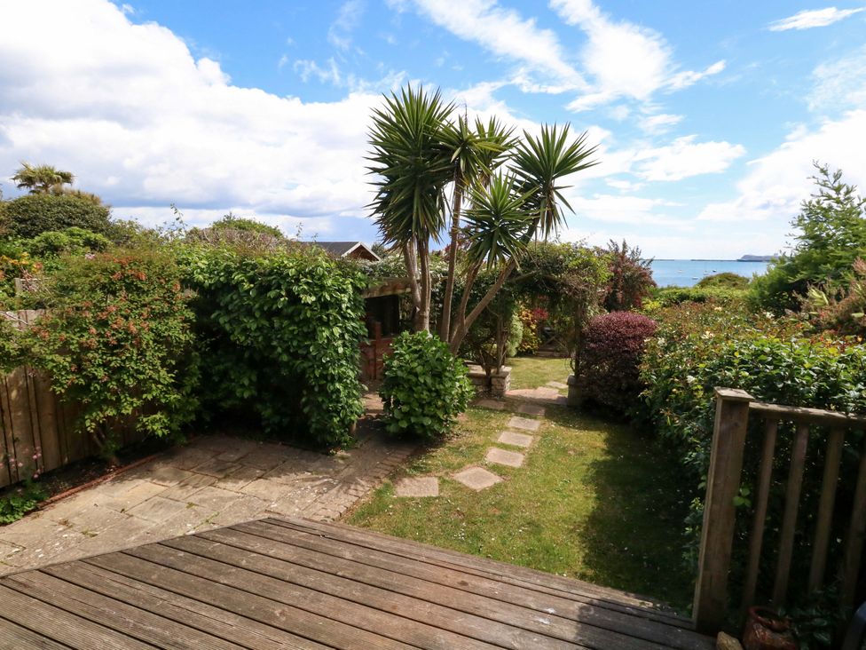 A garden with a pathway and palm tree at Little Gem in Weymouth