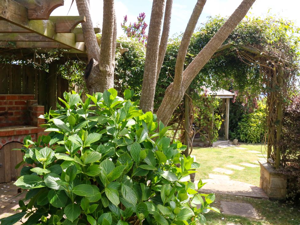 A garden featuring trees, a barbecue, and a stone path at Little Gem in Weymouth