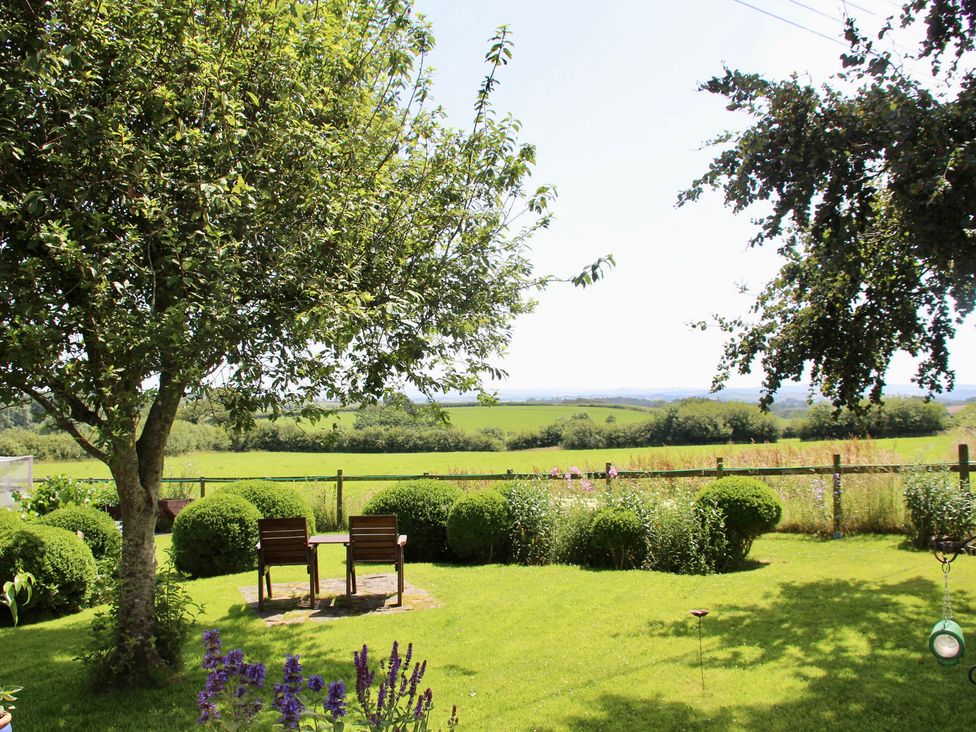 A garden with chairs and a tree at Cider Cottage near Launceston