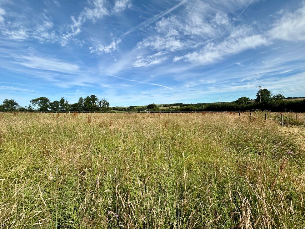 A grassy field with trees and power lines at Cider Cottage near Launceston