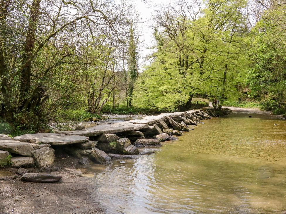 A stream with stepping stones and trees at Whitefield Cottage, Barnstaple