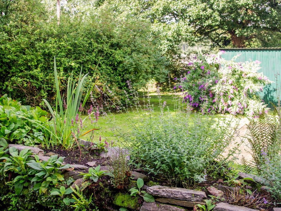 A garden with plants and flowers at Whitefield Cottage in Barnstaple