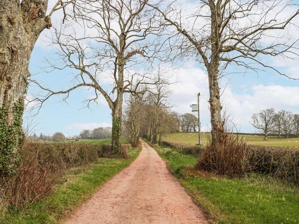 A dirt road lined with trees at Tuxwell Lodge in Bridgwater