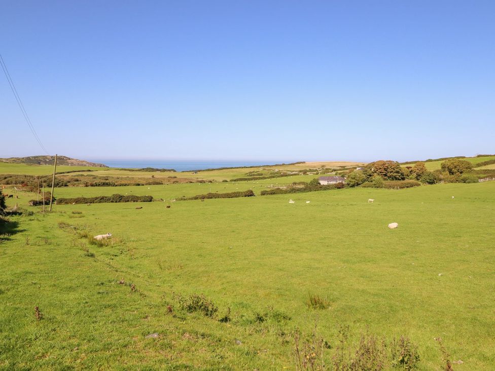 An open field with sheep grazing and ocean in the distance at Posh Pod in Cemaes Bay