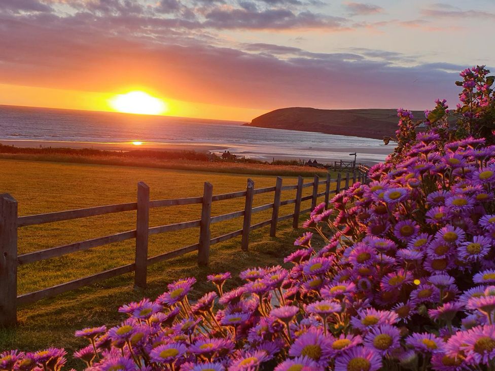 A sunset over the ocean with flowers and a fence at Dingle Dell in Croyde