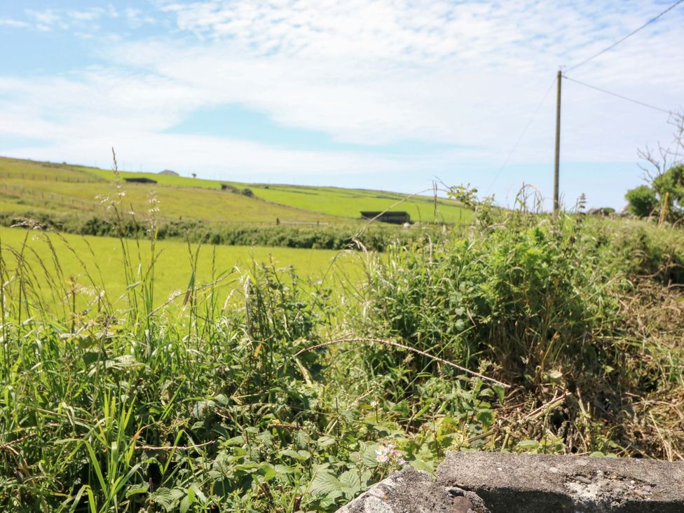 A field with grass and a stone wall at Tach Ferme