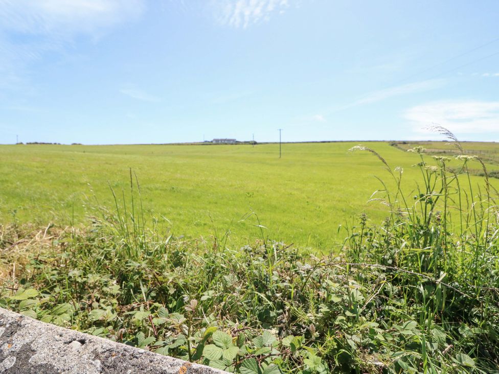 A grassy field with power poles in the distance at Tach Ferme
