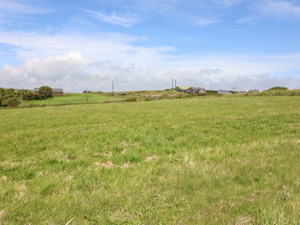 A field with green grass and buildings in the distance at Tach Ferme