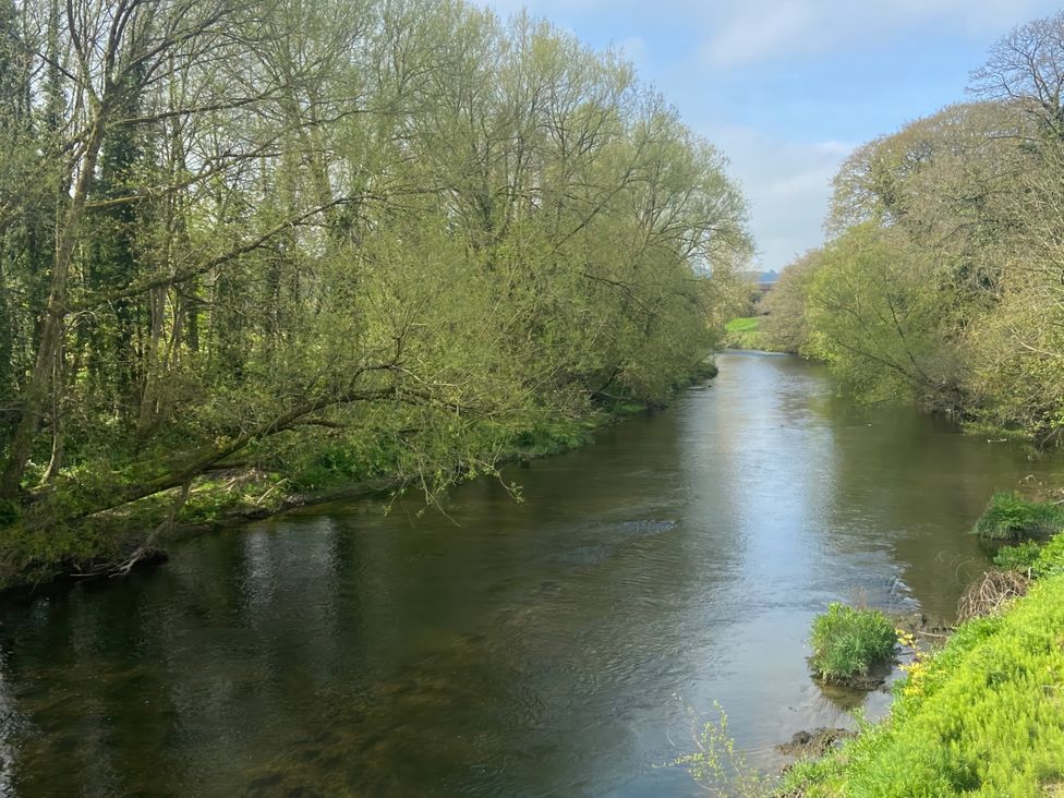 A river surrounded by trees and grass at Cozy Cabin Retreat in Newtown