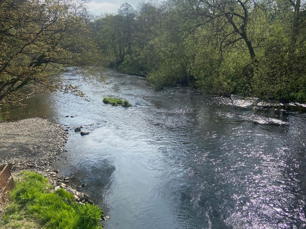 A river with rocks and trees at Cozy Cabin Retreat in Newtown