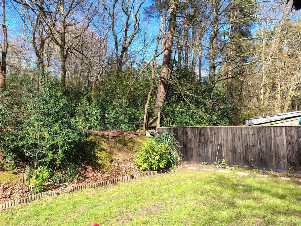 A garden with grass, trees, and a wooden fence at Forest Cabin Retreat-Sleeps 2-Garden, Wifi, Trails in Alderholt