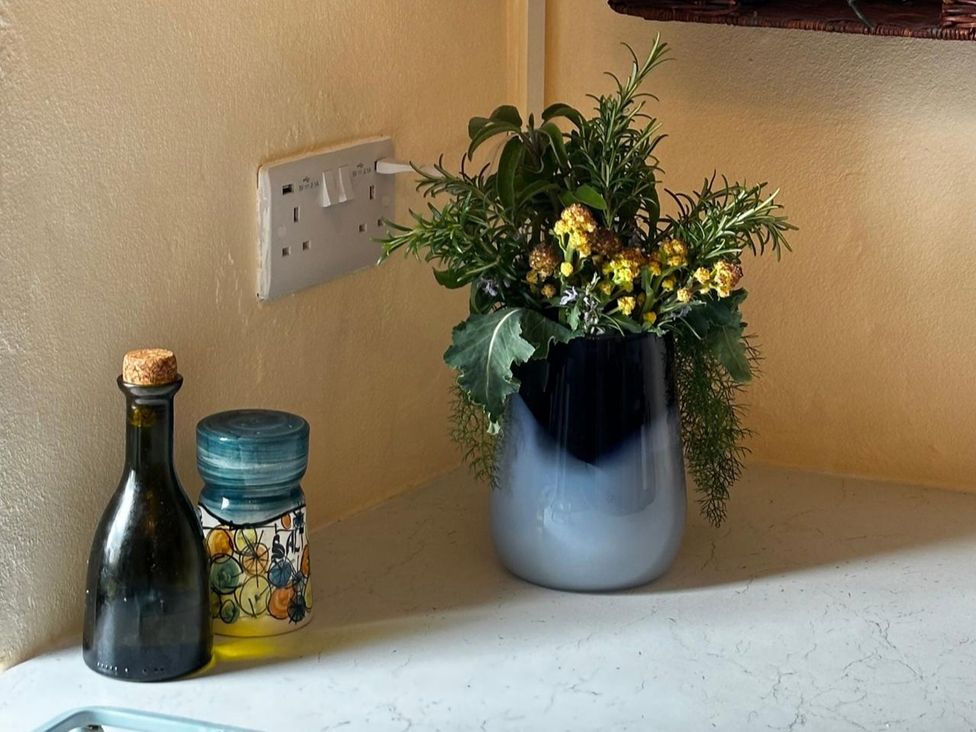 A vase with flowers next to a bottle and an oil container in a kitchen at Little Linney Sleeps 2 Garden Parking Wifi Hartland