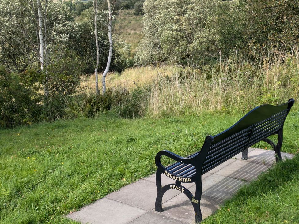 A bench in a grassy area surrounded by trees at Pet Friendly - Lodge at Riverview Holiday Park, Mangerton near Newcastleton