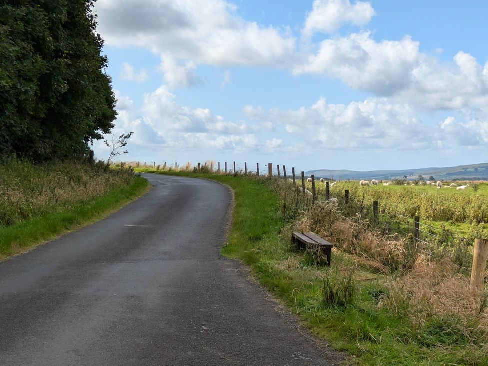 A winding road beside a grassy area at Pet Friendly - Lodge at Riverview Holiday Park Mangerton near Newcastleton