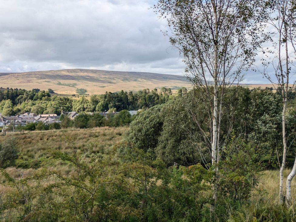 A view of hills and houses with trees in the foreground at Pet Friendly - Lodge at Riverview Holiday Park Mangerton near Newcastleton
