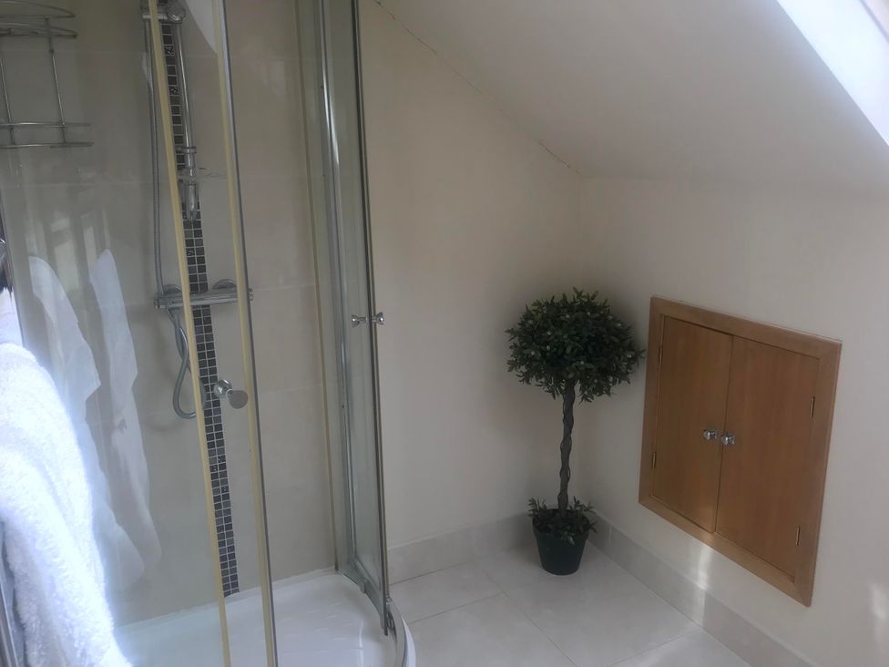 A bathroom with a shower and a plant at Dungannon 2 Bed Bungalow - Sleeps 5 - Pet Friendly near Dungannon