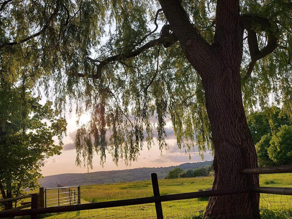 A view of a tree and a fence with hills in the background at 1 Bed Lodge-Sleeps 4-Pet Friendly-Free Parking near Hay-On-Wye