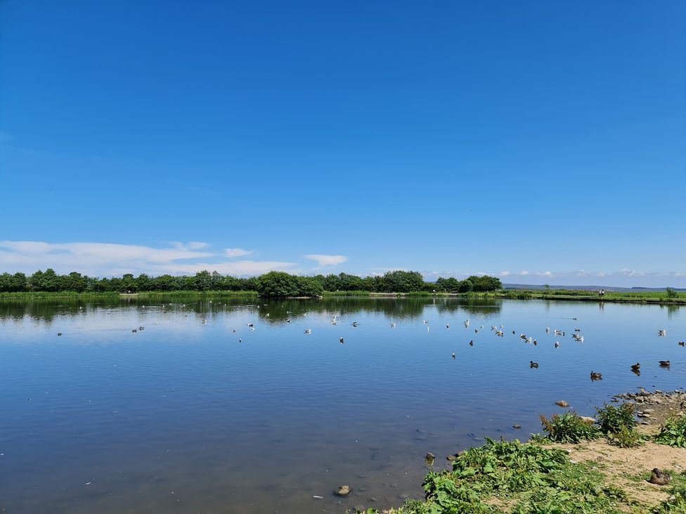 A water body with ducks and trees at TBC 