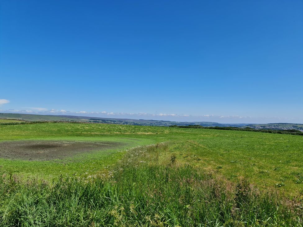 A grassy field under a clear blue sky at TBC