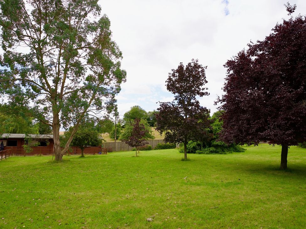 A garden with trees and a shed at TBC 
