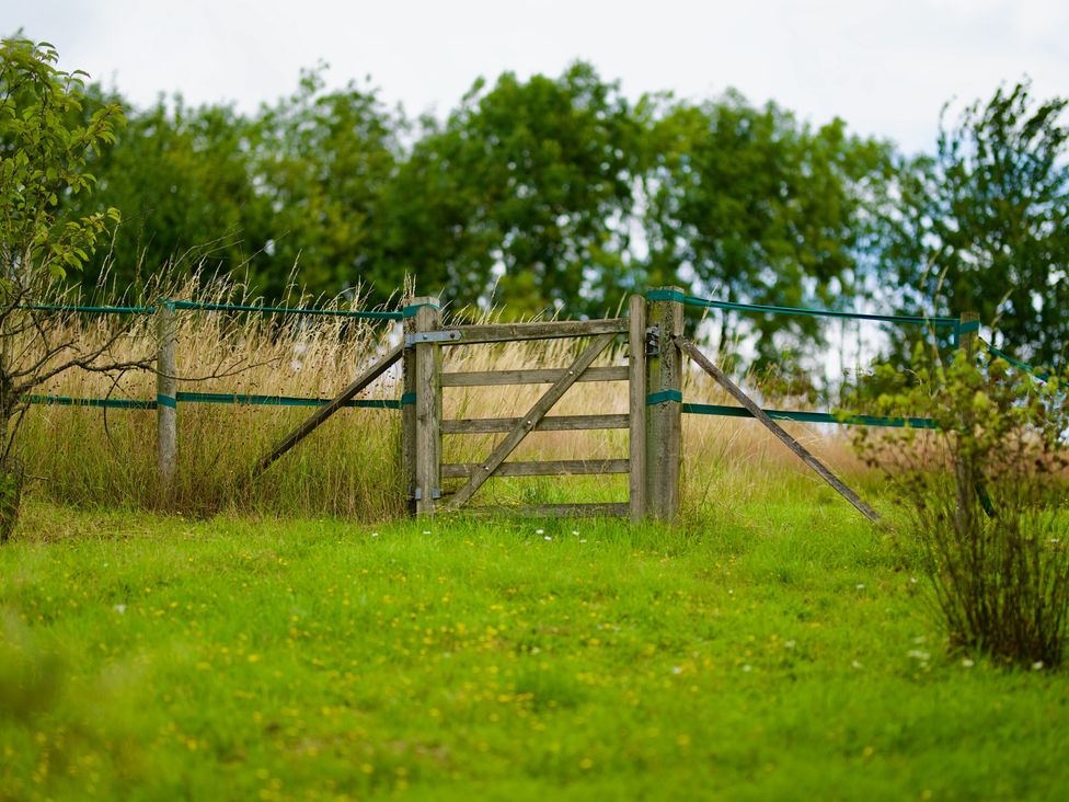 A gate and fence in a grassy area at TBC 
