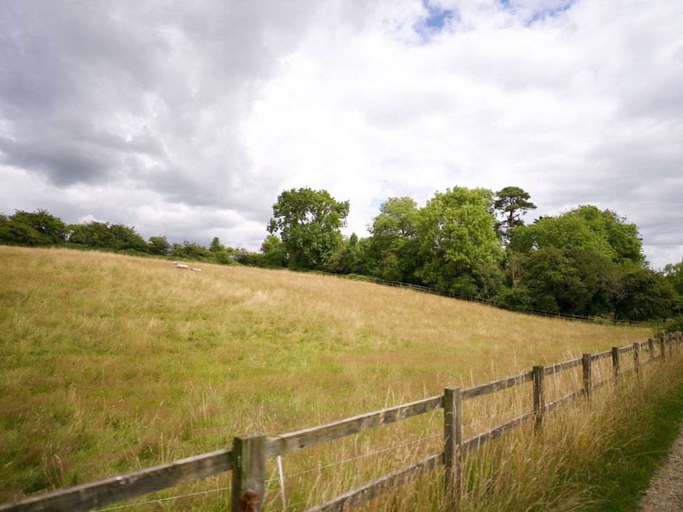 A field with a fence and trees at TBC 