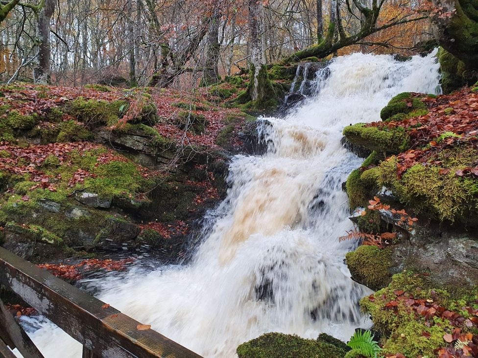 A waterfall flowing over rocks with moss and fallen leaves at Edengrove Aberfeldy