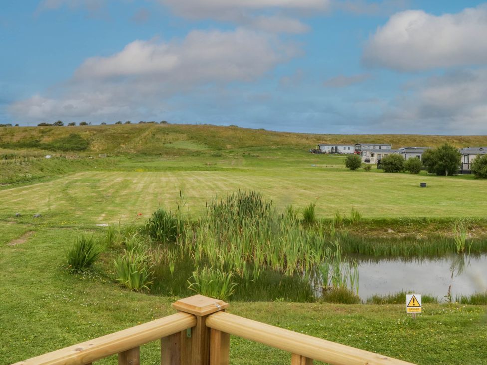 A pond surrounded by grass and reeds at Heron in Haverigg