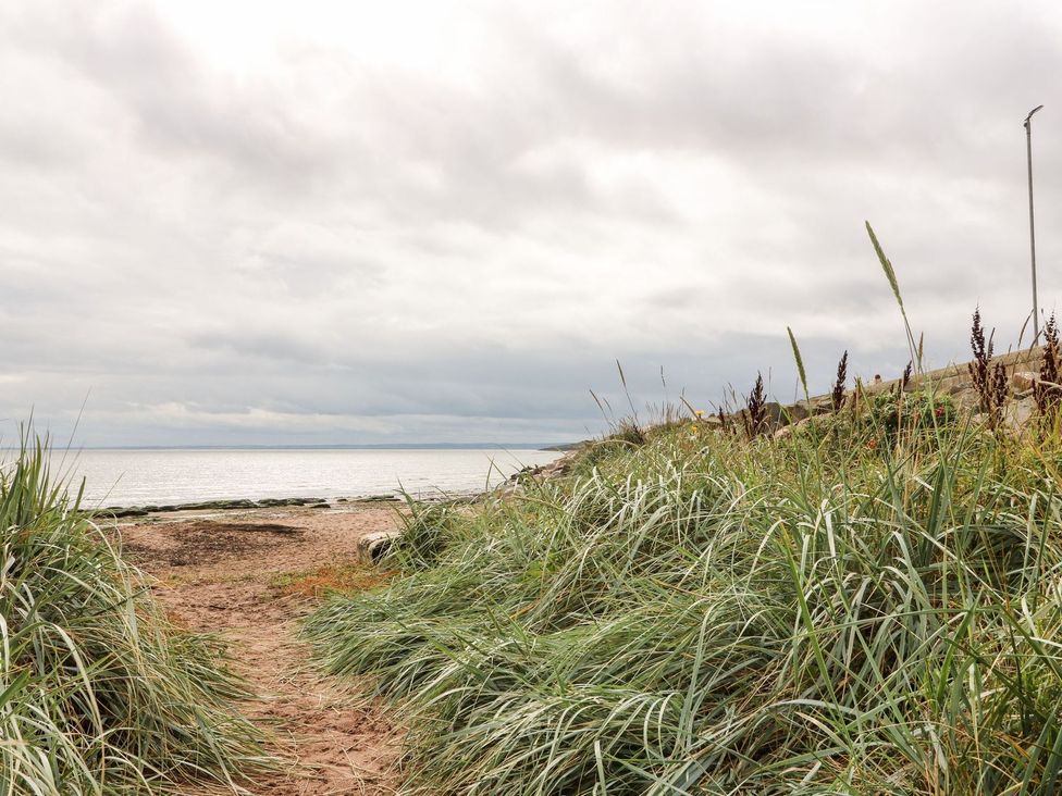 A beach scene with grass and a path leading to the sea at Seaview Wellness Retreat in Carnoustie