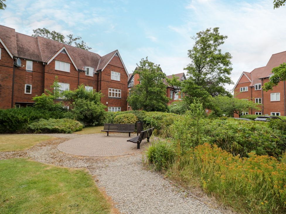 An outdoor area with benches and greenery at Manor House in Birmingham