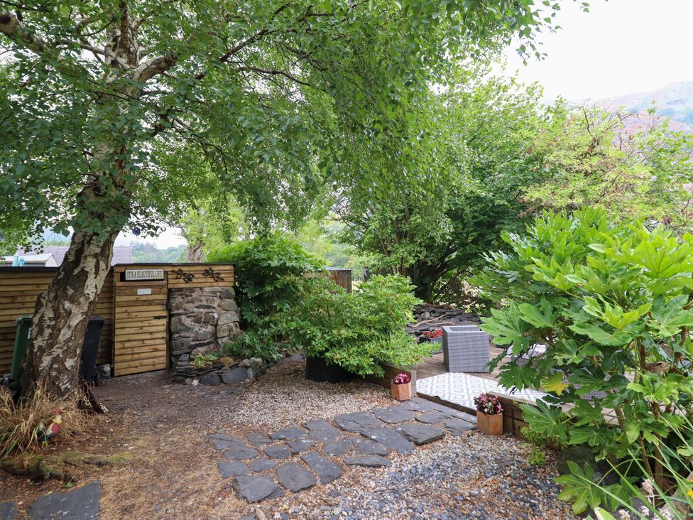 A garden with trees and stone pathway at Hud Y Coed in Llangynog