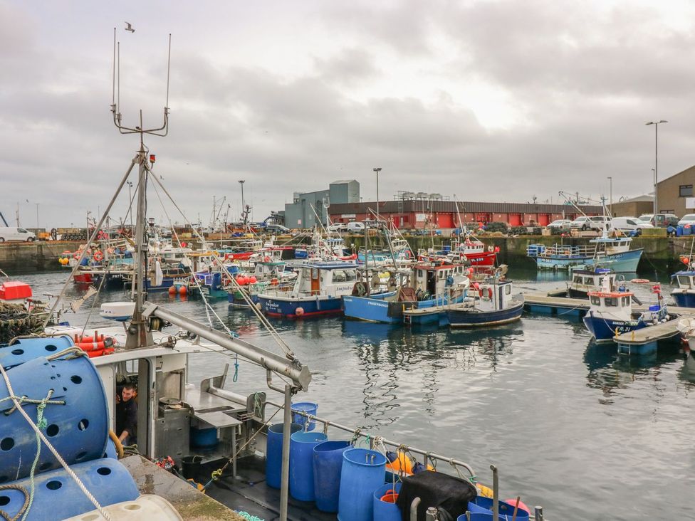 A harbor with fishing boats and containers at Viola Cottage in Fraserburgh