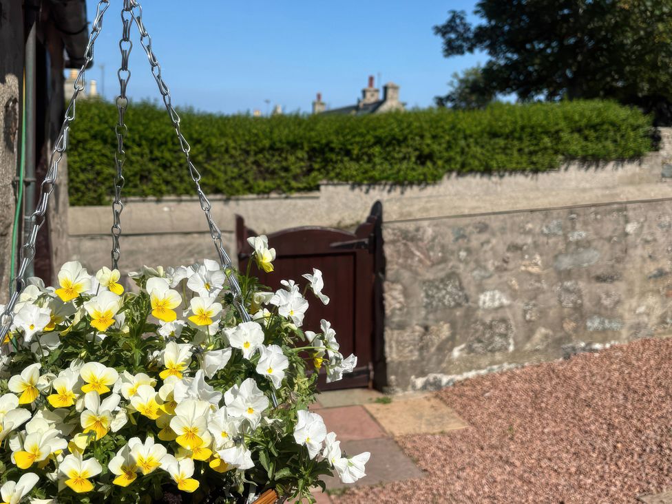 Flowers in a hanging planter and a gate at Viola Cottage in St Combs near Fraserburgh
