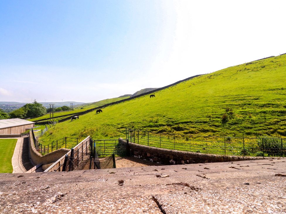 A field with horses grazing at Sheephouse Farm in Bacup