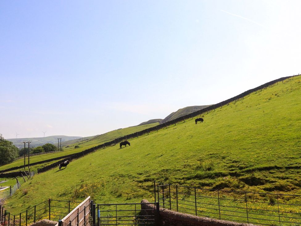 Horses grazing on a hill at Sheephouse Farm in Bacup