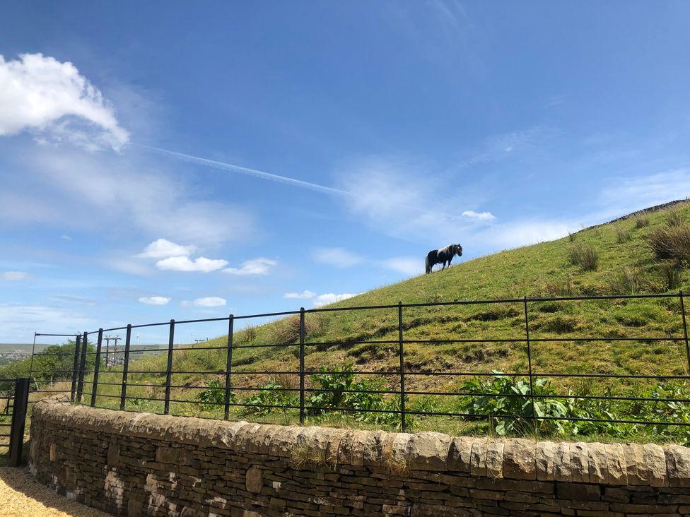 A horse on a hill under blue sky at Sheephouse Farm in Bacup