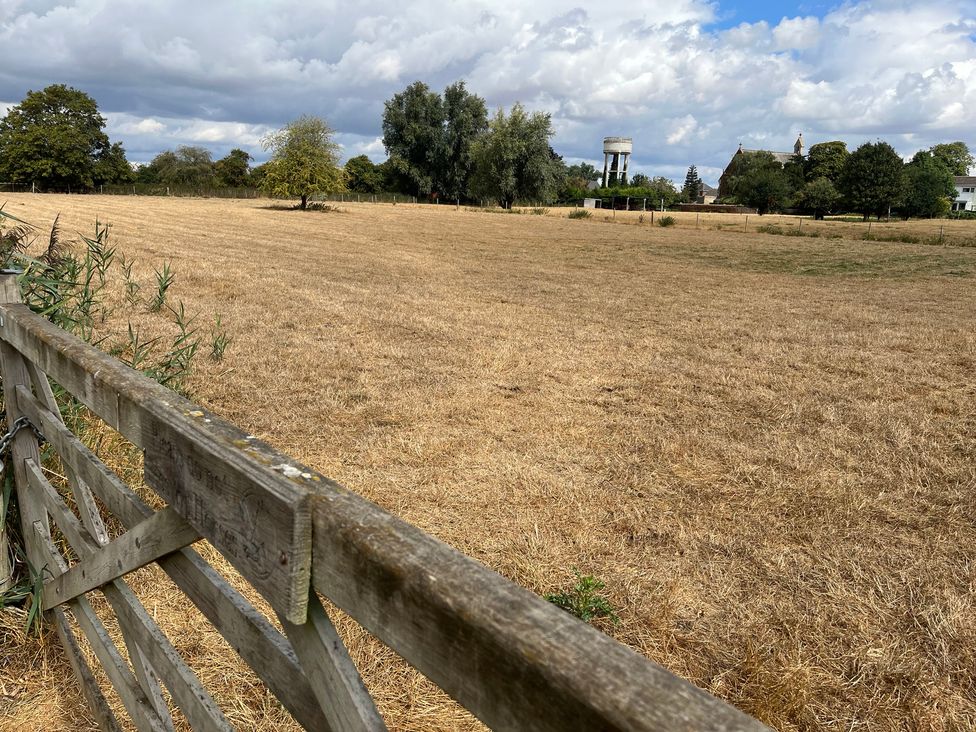 A field with a water tower and trees at Laurel in Littleport