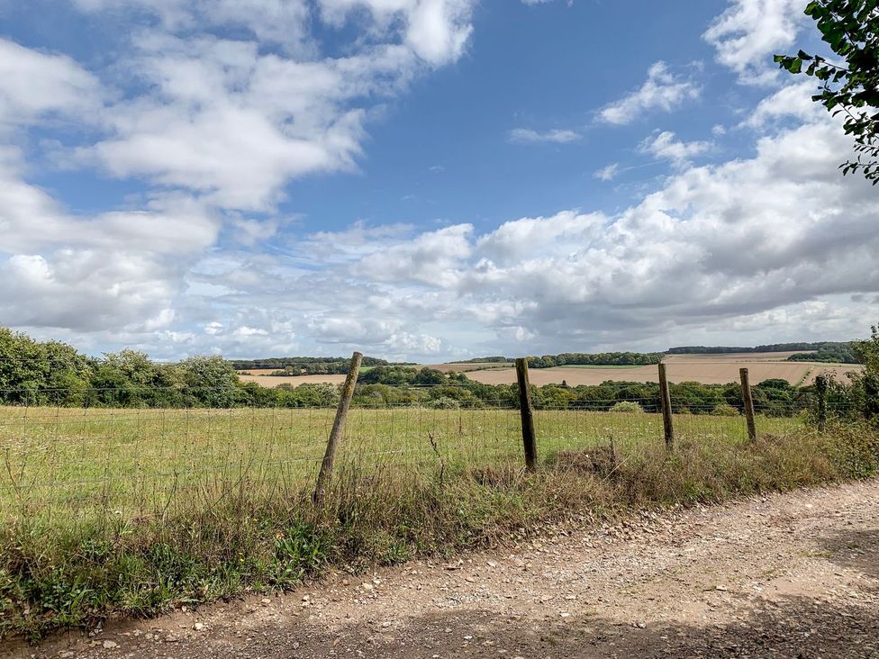 A field with a fence and trees in the background at The Cottage in Winterslow