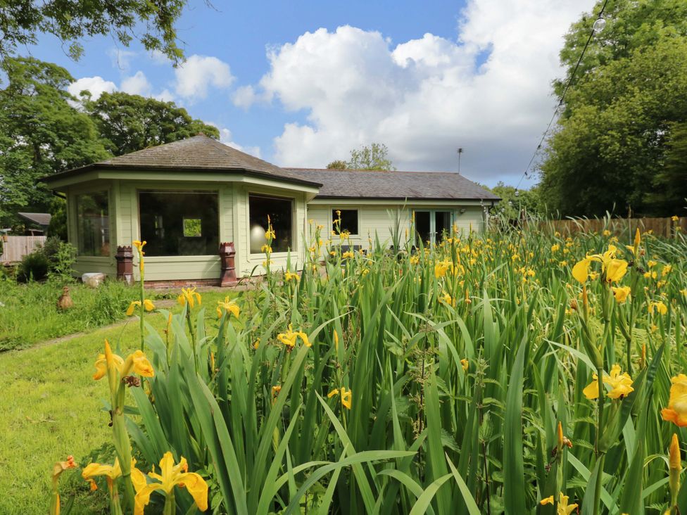 A house with a garden full of yellow flowers at Bull Rush Cabin Carwinley near Longtown