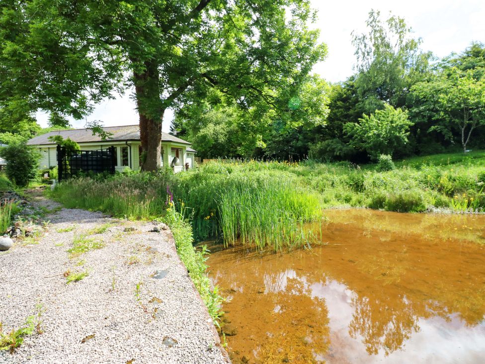 A house with a pond and greenery at Bull Rush Cabin in Carwinley near Longtown