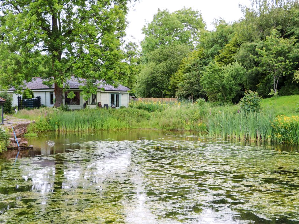 A house near a pond with trees and grass at Bull Rush Cabin Carwinley near Longtown