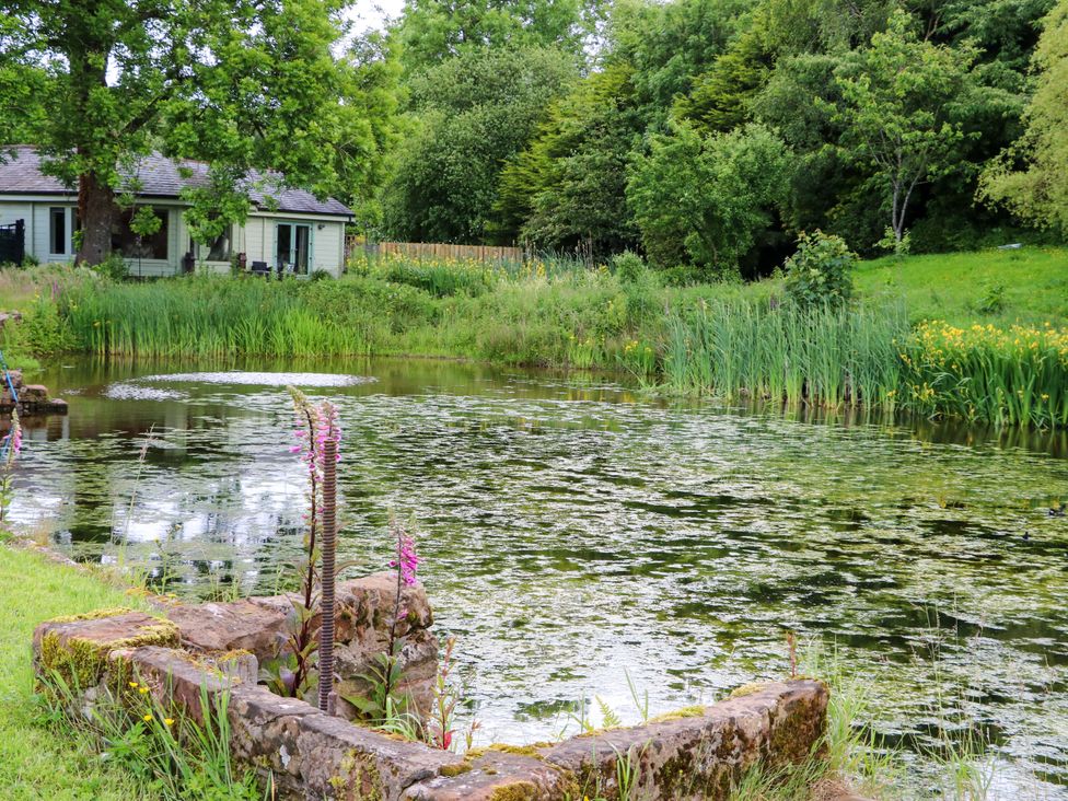 A pond with surrounding greenery at Bull Rush Cabin in Carwinley near Longtown