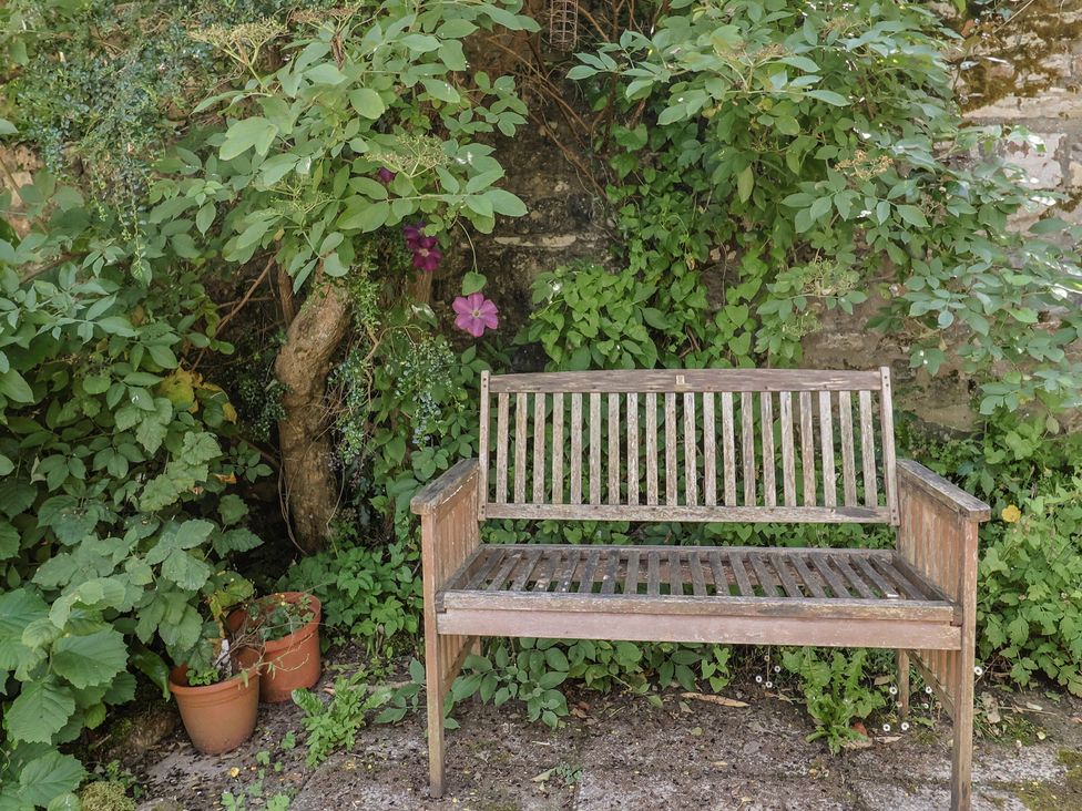 A bench surrounded by plants at Seaview in Lyme Regis
