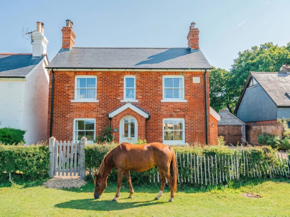 A house with a horse in the garden at TBC 
